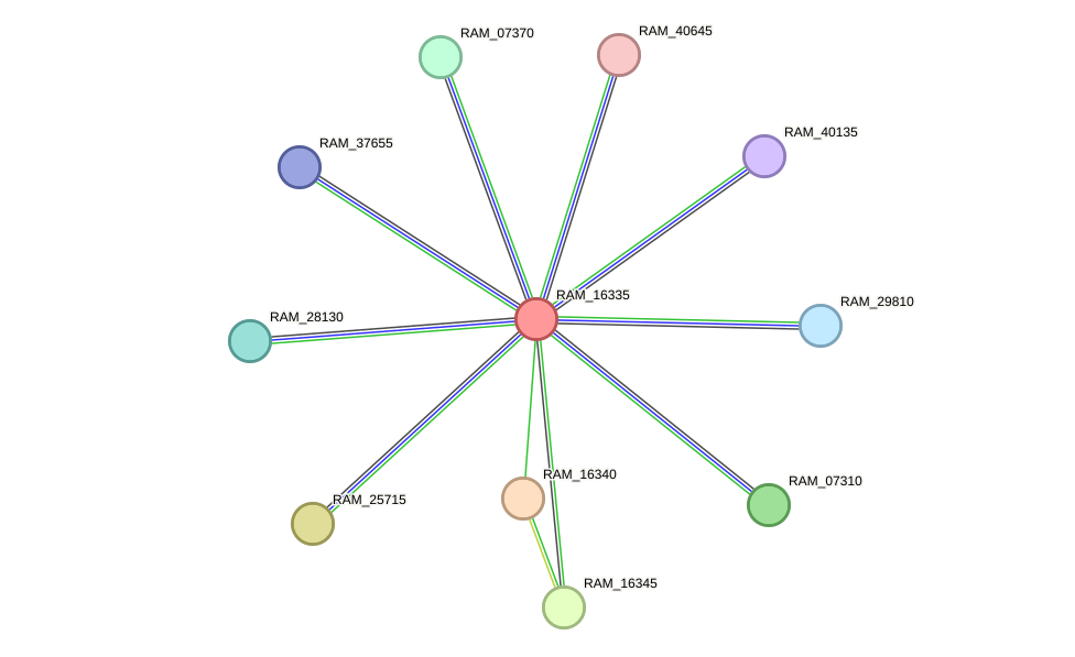 STRING protein interaction network
