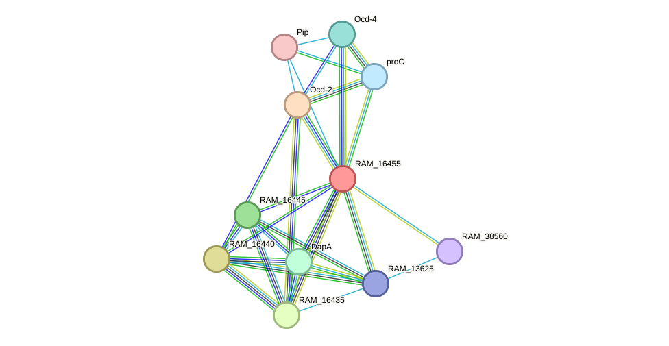 STRING protein interaction network