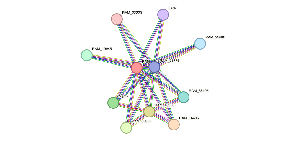 STRING protein interaction network