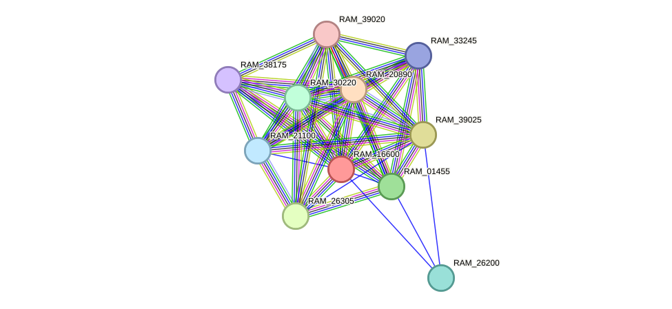 STRING protein interaction network