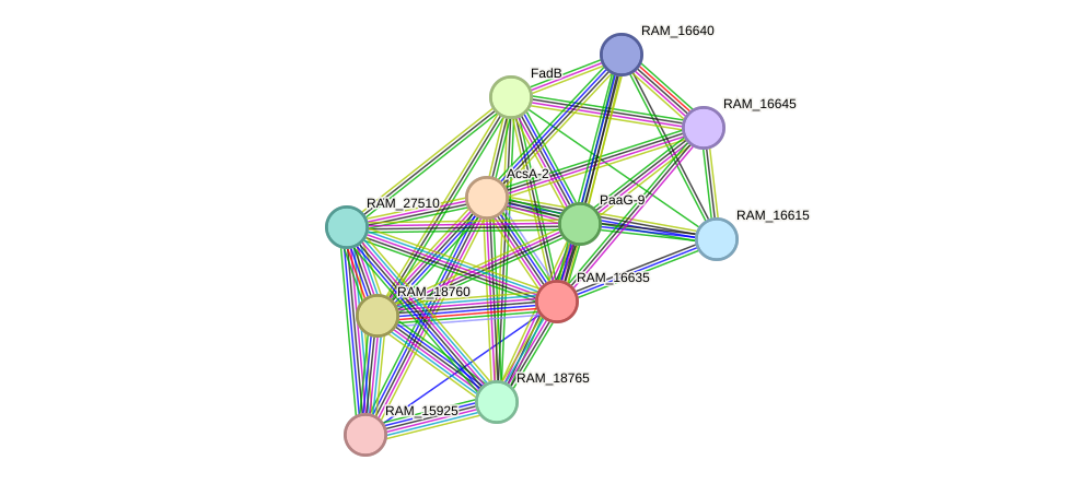 STRING protein interaction network