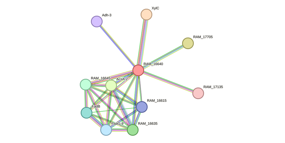 STRING protein interaction network