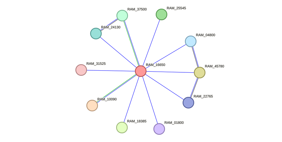 STRING protein interaction network