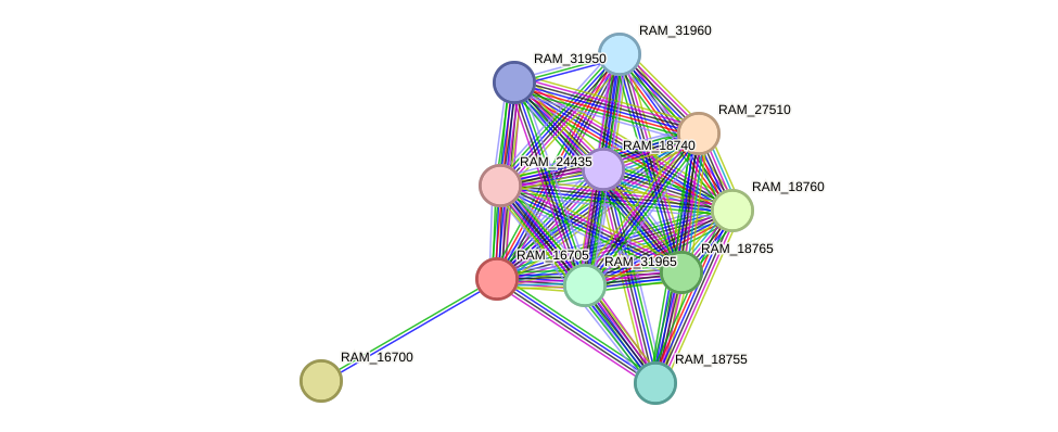 STRING protein interaction network