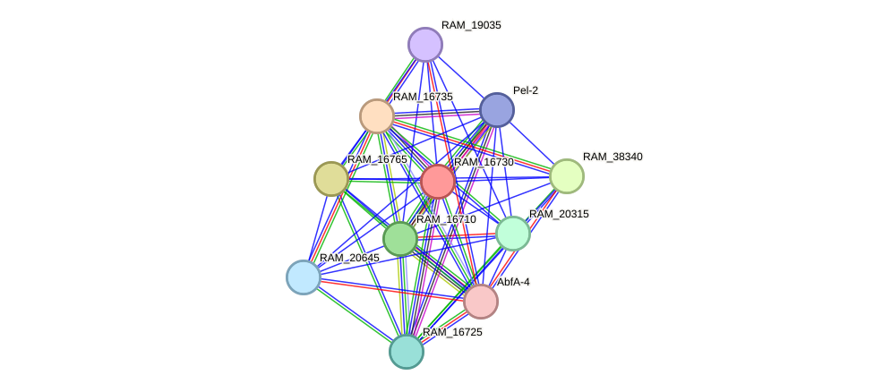 STRING protein interaction network