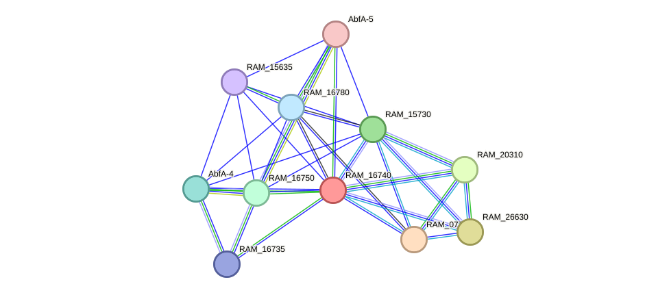 STRING protein interaction network