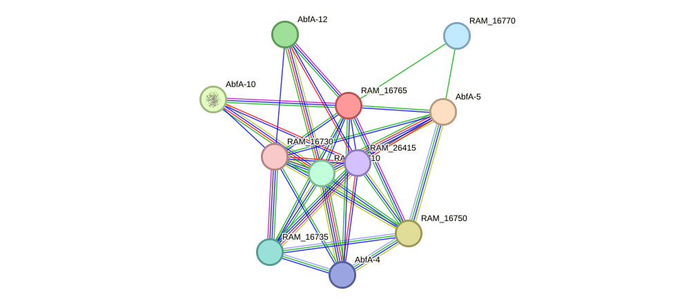 STRING protein interaction network