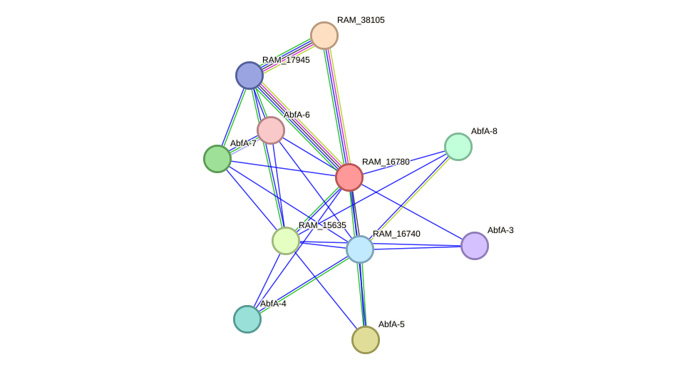 STRING protein interaction network