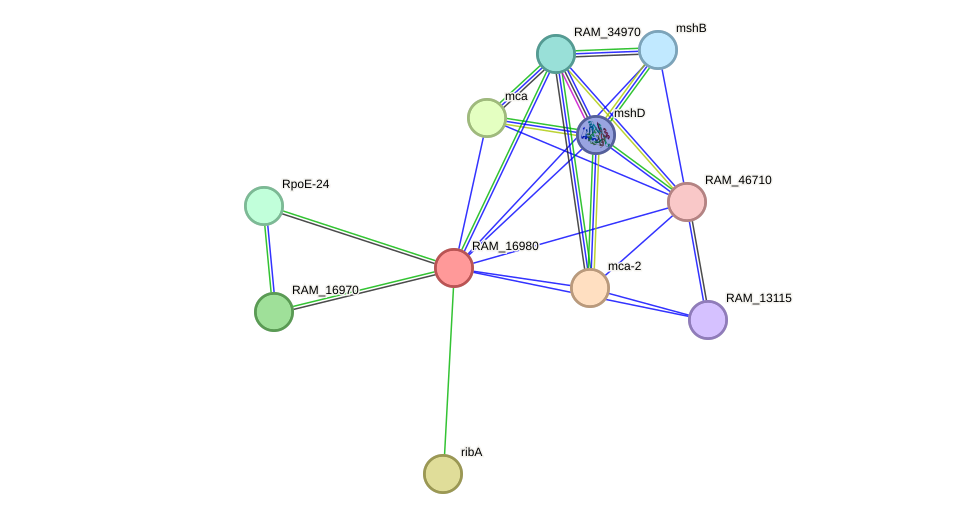 STRING protein interaction network