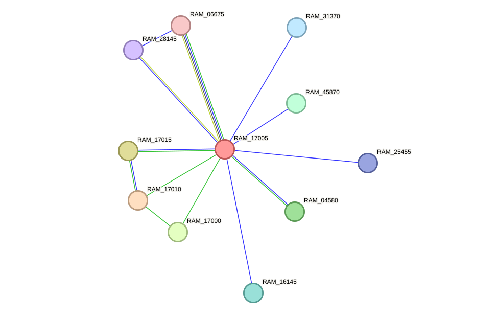 STRING protein interaction network