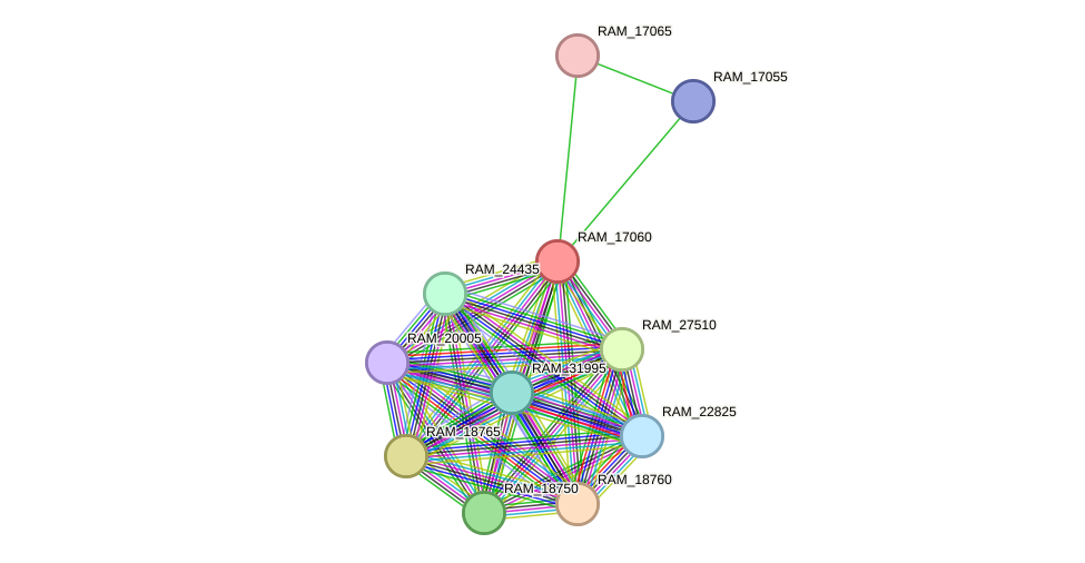 STRING protein interaction network