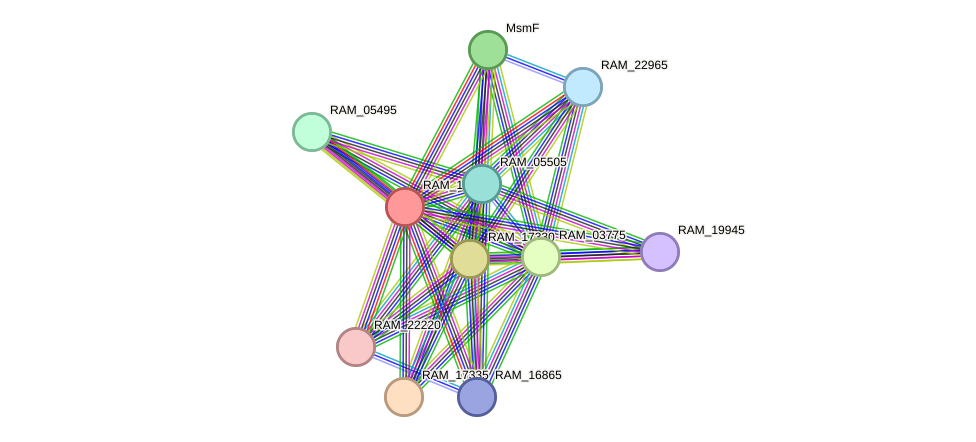 STRING protein interaction network