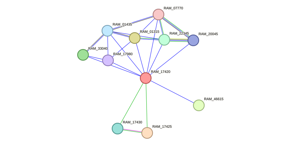 STRING protein interaction network