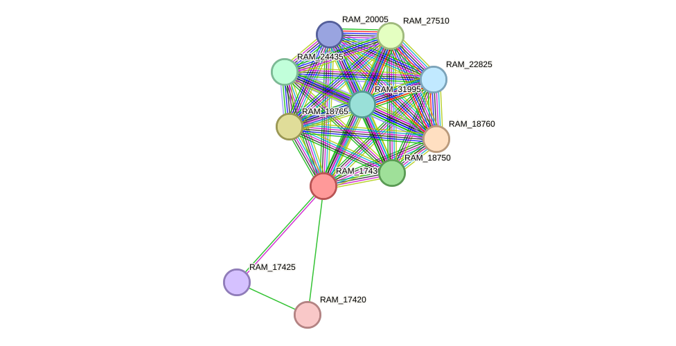 STRING protein interaction network