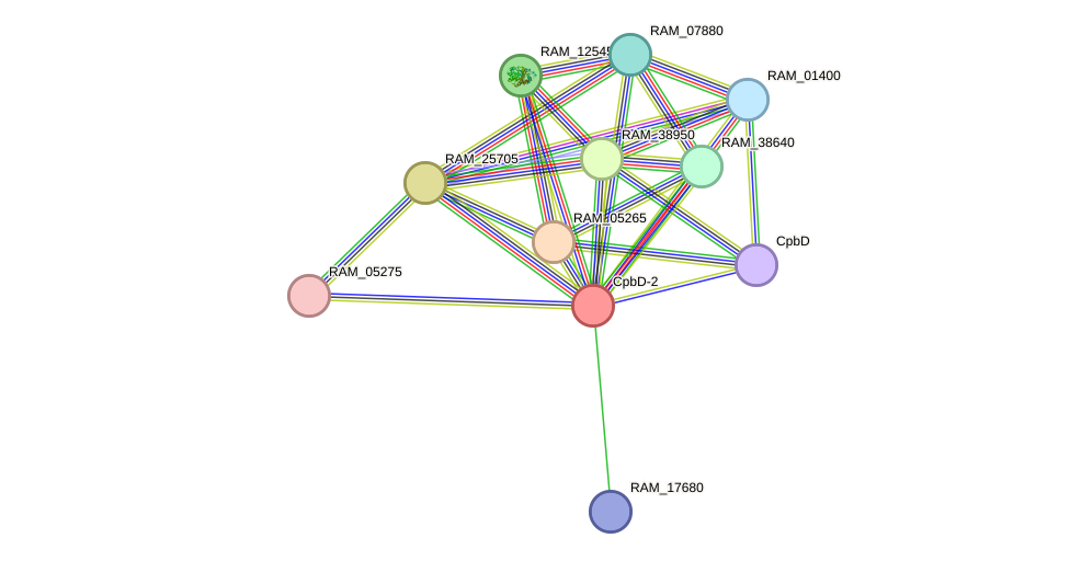 STRING protein interaction network