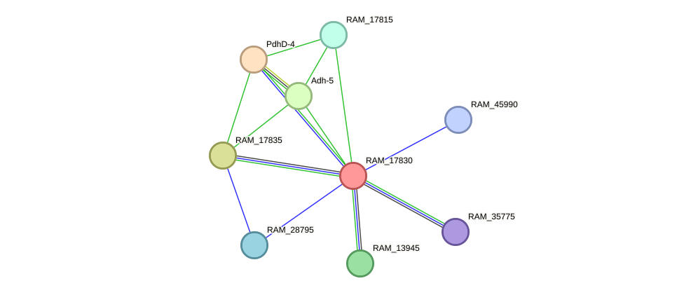 STRING protein interaction network