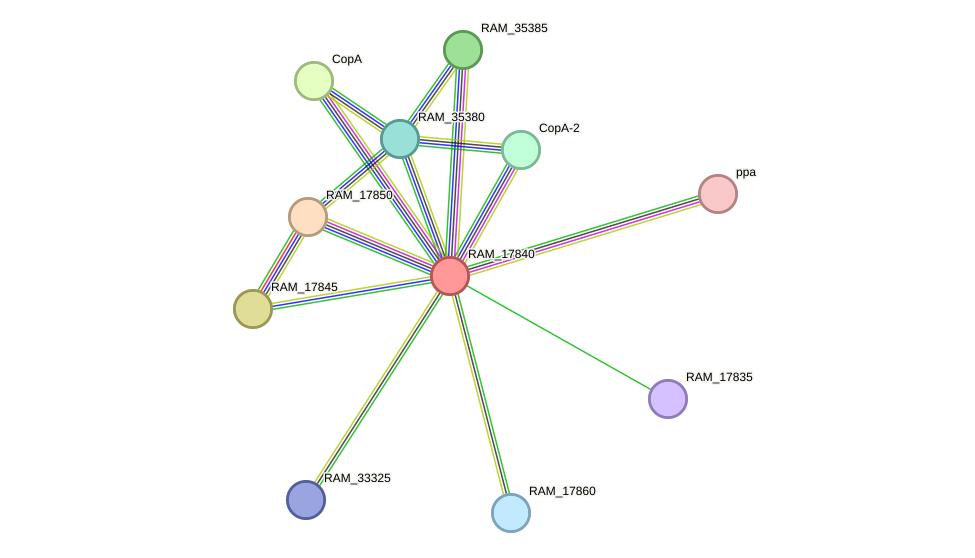 STRING protein interaction network