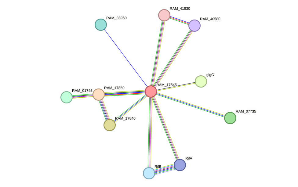 STRING protein interaction network