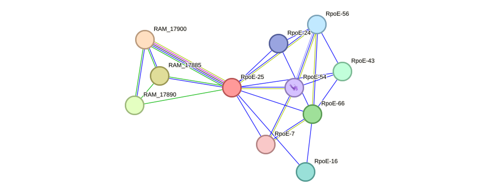 STRING protein interaction network