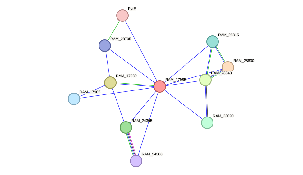 STRING protein interaction network