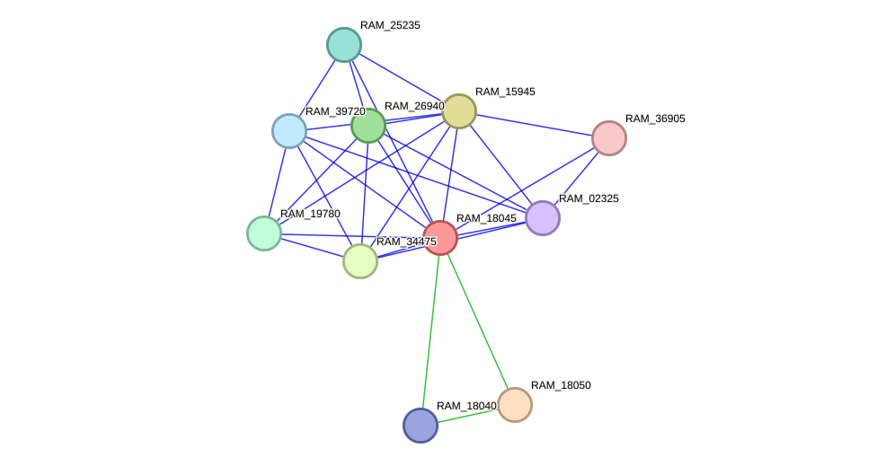 STRING protein interaction network