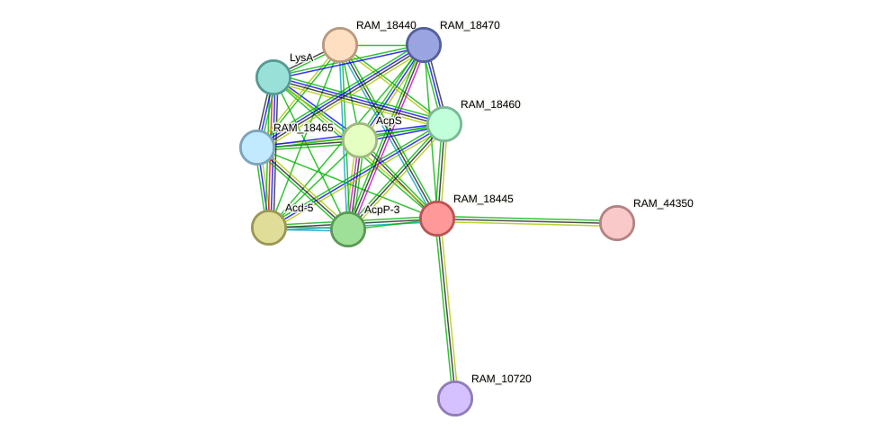 STRING protein interaction network