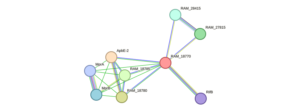 STRING protein interaction network