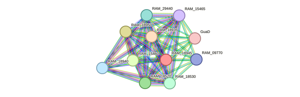 STRING protein interaction network