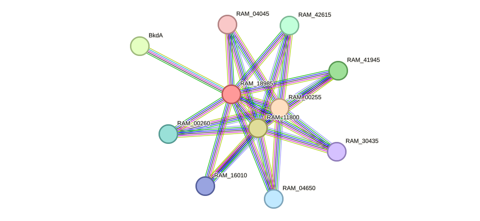 STRING protein interaction network