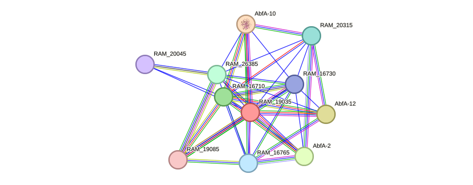 STRING protein interaction network
