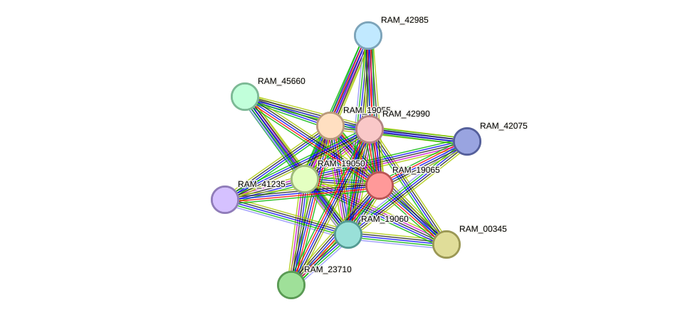 STRING protein interaction network