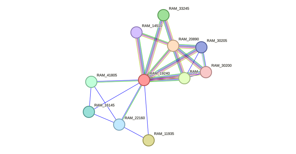 STRING protein interaction network