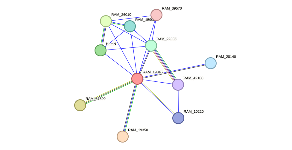 STRING protein interaction network