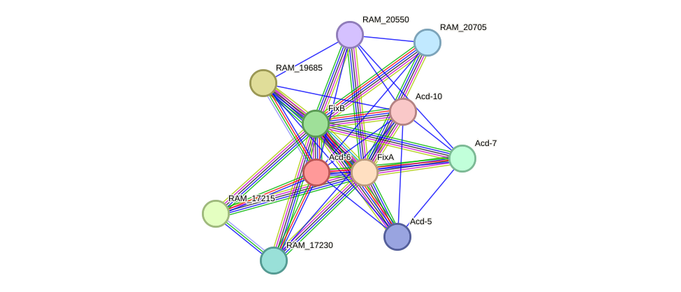 STRING protein interaction network