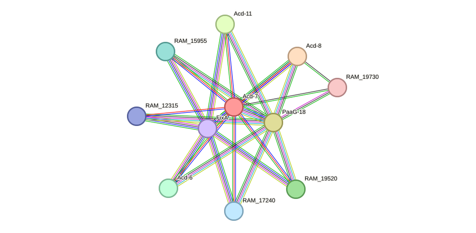 STRING protein interaction network