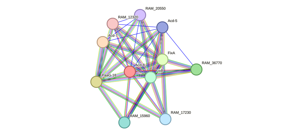 STRING protein interaction network
