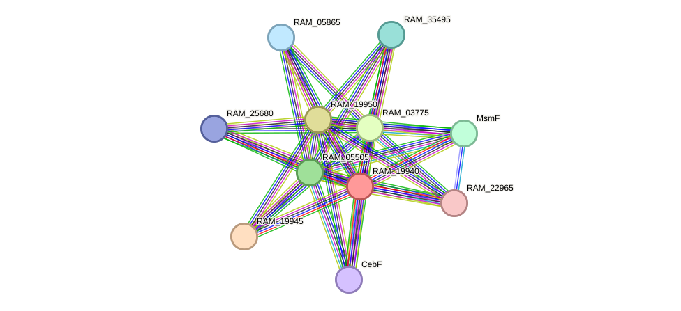 STRING protein interaction network