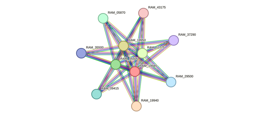 STRING protein interaction network
