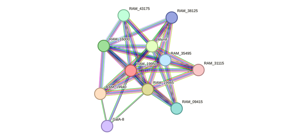 STRING protein interaction network