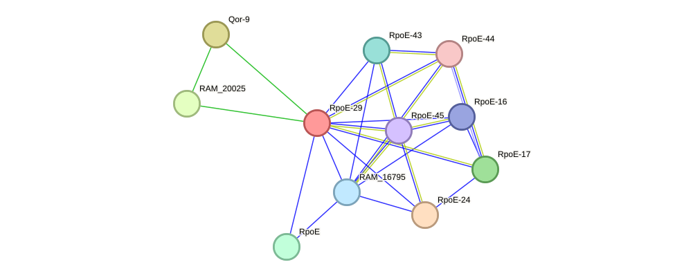 STRING protein interaction network