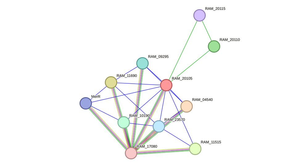 STRING protein interaction network