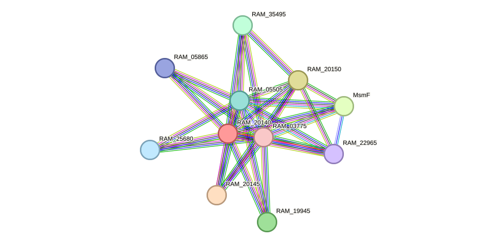 STRING protein interaction network