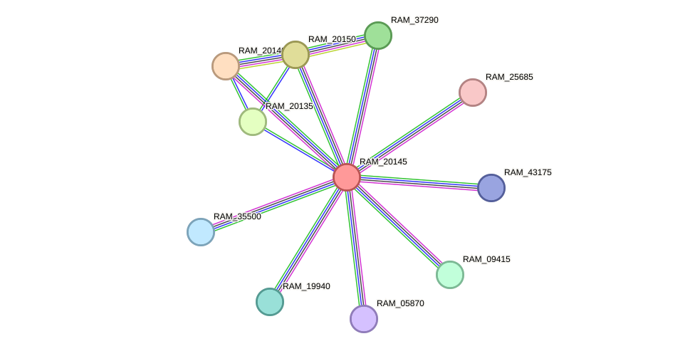 STRING protein interaction network