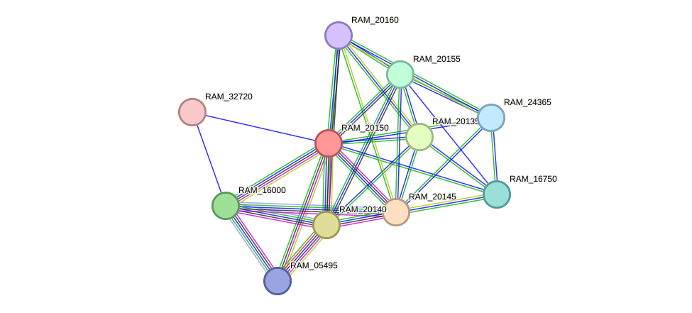 STRING protein interaction network