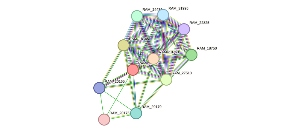 STRING protein interaction network