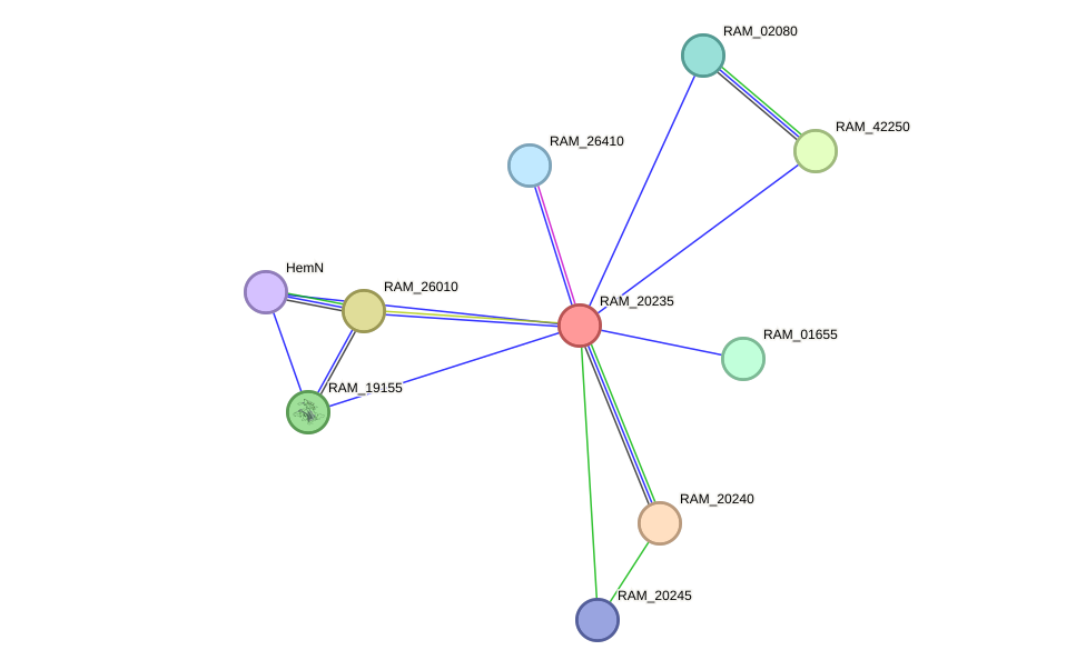 STRING protein interaction network