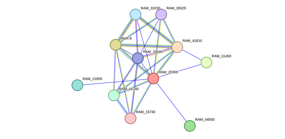 STRING protein interaction network