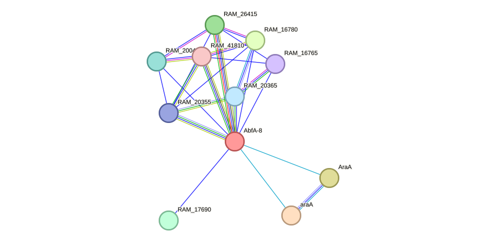 STRING protein interaction network