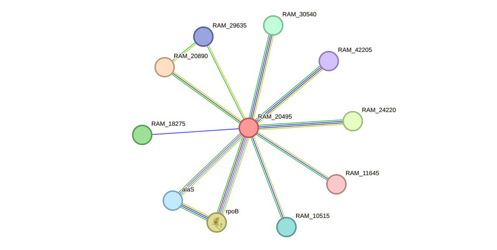 STRING protein interaction network