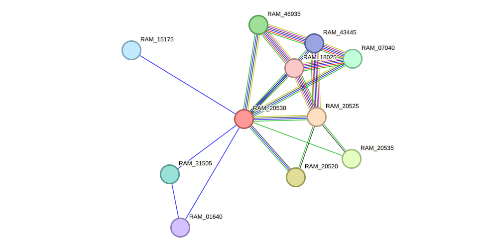 STRING protein interaction network